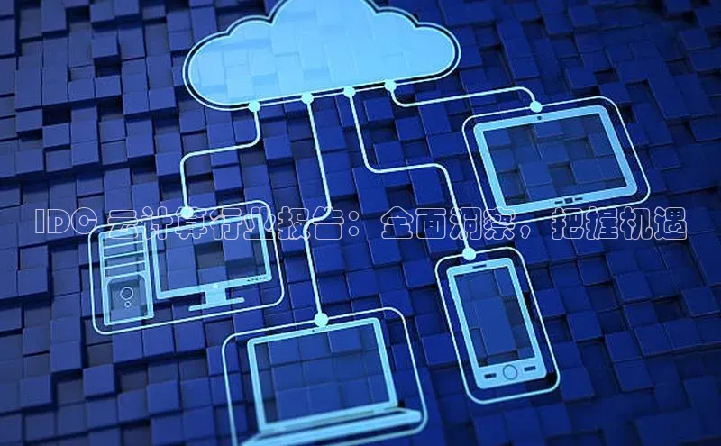 28圈.ccmpc29官网版下载云创智行IDC 云计算行业报告：全面洞察，把握机遇