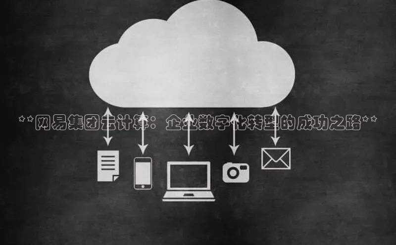 加拿大NG28娱乐软件同程**网易集团云计算：企业数字化转型的成功之路**