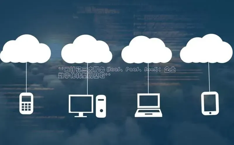 28圈平台链接中文在线**云计算三大服务 (IaaS、PaaS、SaaS)：企业
数字化转型的基石**