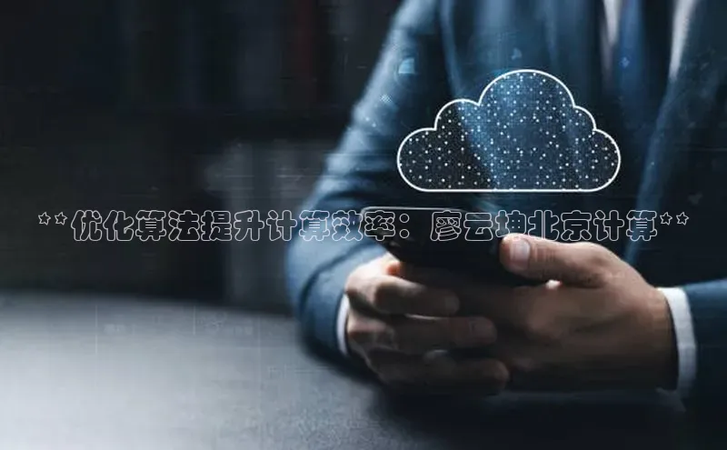 加拿大预测28在线预测官网ARGA公司**优化算法提升计算效率：廖云坤北京计算**