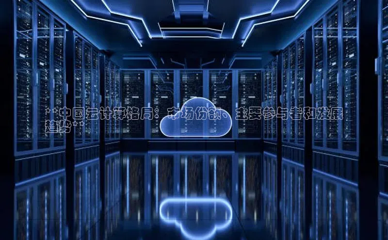 加拿大28圈合法吗百度取证**中国云计算格局：市场份额、主要参与者和发展
趋势**