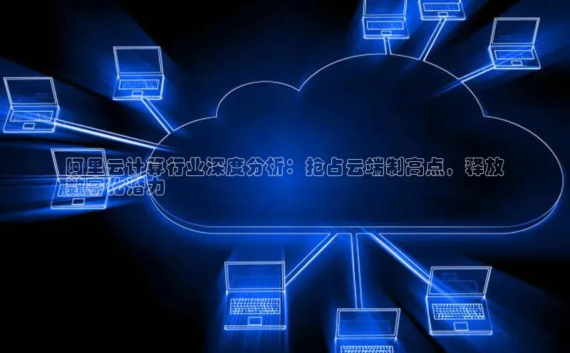 28圈.ccm巴美列捷福阿里云计算行业深度分析：抢占云端制高点，释放
数字化潜力