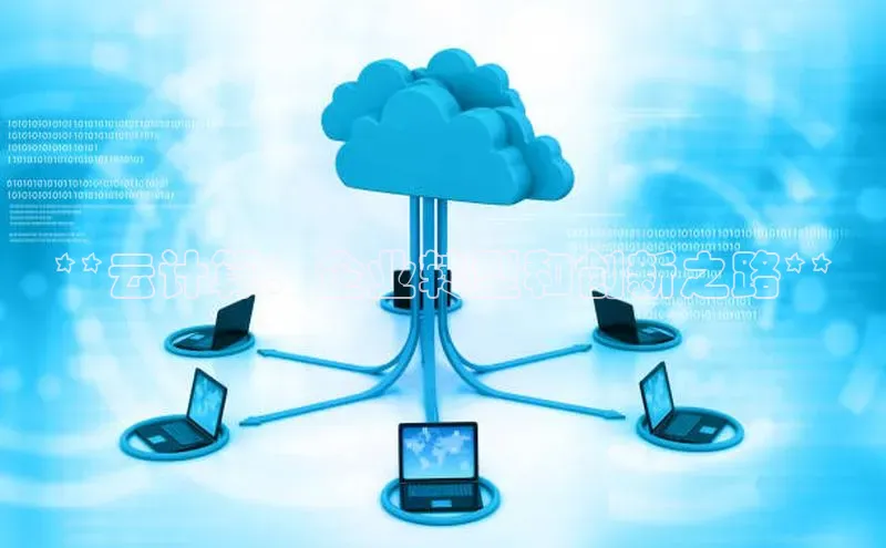 加拿大28圈.ccm挪威主权基金**云计算：企业转型和创新之路**