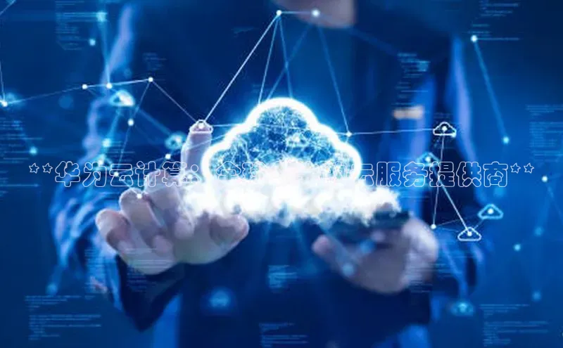 加拿大28开奖结果查询今天金山办公**华为云计算：全球领先的云服务提供商**