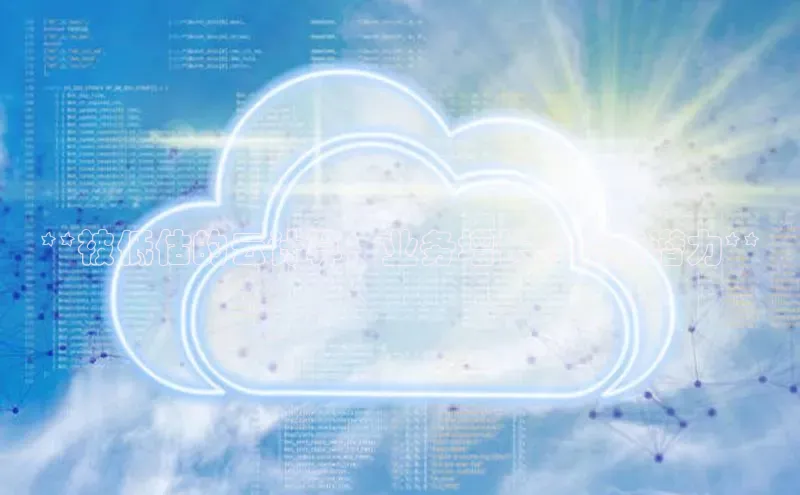 加拿大28圈最新版2023下载神思电子**被低估的云计算：业务增长的隐藏潜力**