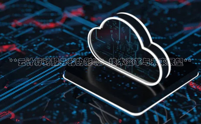 28圈注册网站百度集团**云计算对服务器的影响：技术变革与未来展望**