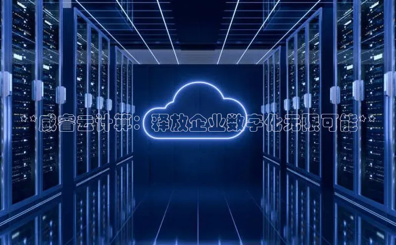 能玩加拿大28的网址百度营销中心**威睿云计算：释放企业数字化无限可能**