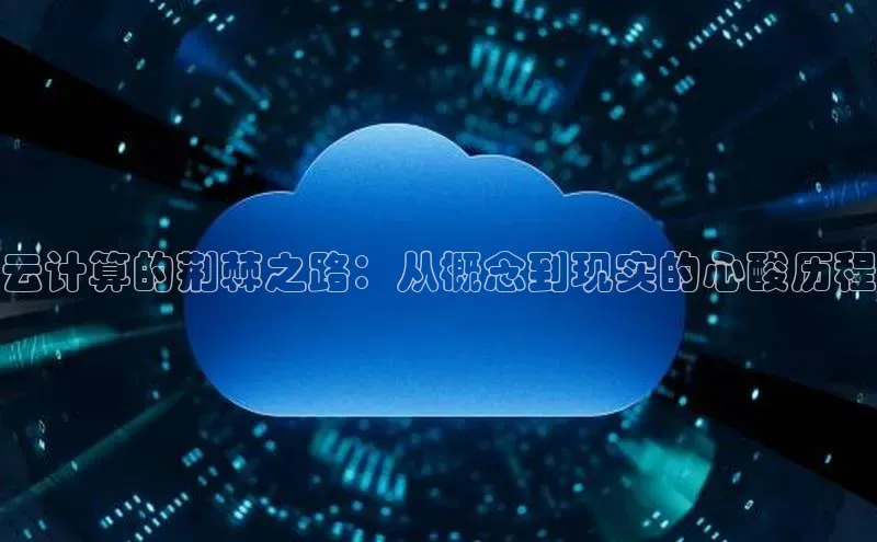 28电子游戏官方网站百度搜索资源平台云计算的荆棘之路：从概念到现实的心酸历程