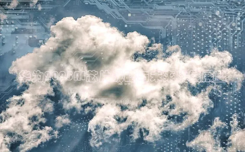 华为2025AI芯片战略与未来发展展望